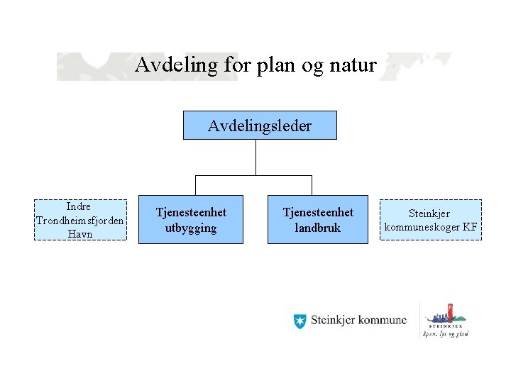 Avdeling for plan og natur Avdelingsleder Indre Trondheimsfjorden Havn Tjenesteenhet utbygging Tjenesteenhet landbruk Steinkjer