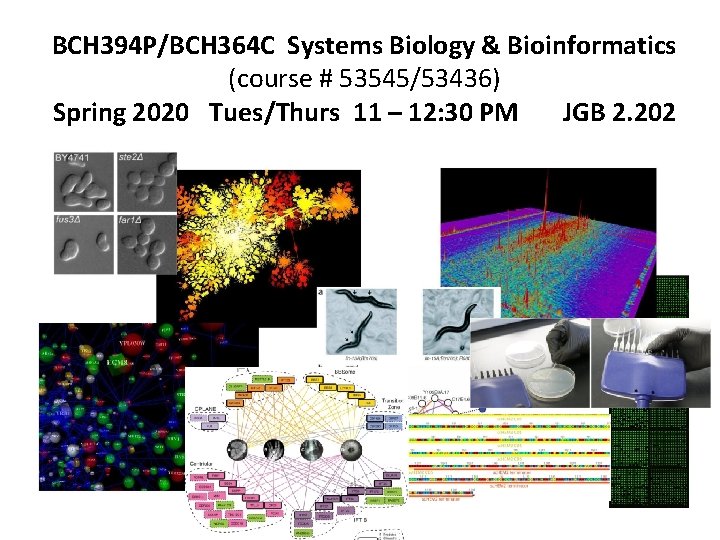 BCH 394 P/BCH 364 C Systems Biology & Bioinformatics (course # 53545/53436) Spring 2020