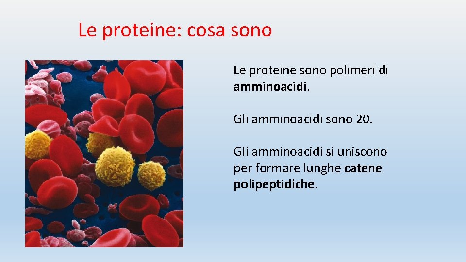 Le proteine: cosa sono Le proteine sono polimeri di amminoacidi. Gli amminoacidi sono 20.