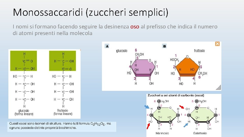 Monossaccaridi (zuccheri semplici) I nomi si formano facendo seguire la desinenza oso al prefisso