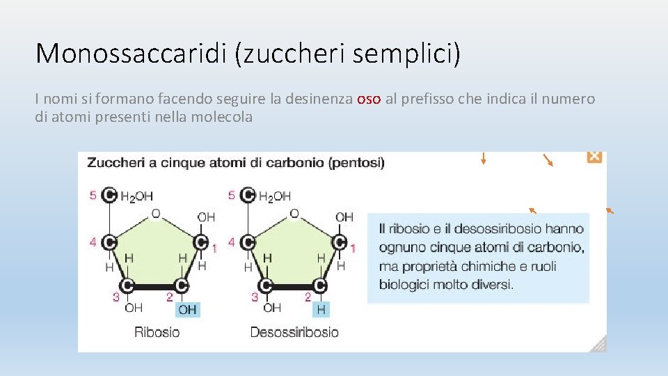 Monossaccaridi (zuccheri semplici) I nomi si formano facendo seguire la desinenza oso al prefisso