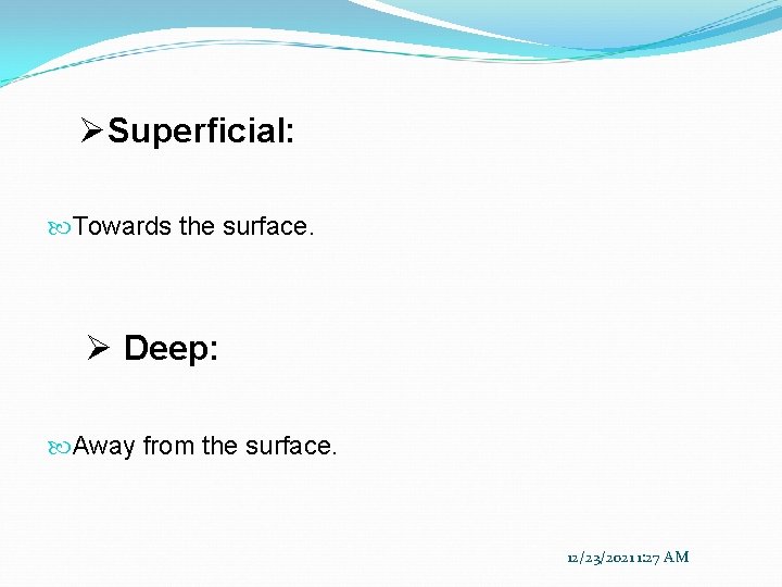 ØSuperficial: Towards the surface. Ø Deep: Away from the surface. 12/23/2021 1: 27 AM