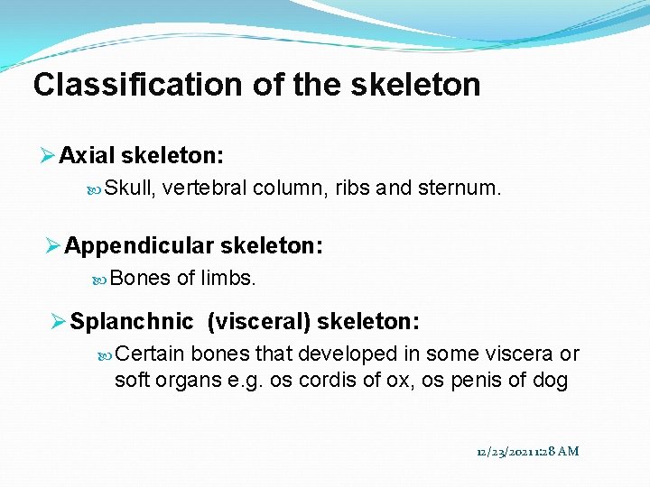 Classification of the skeleton Ø Axial skeleton: Skull, vertebral column, ribs and sternum. Ø