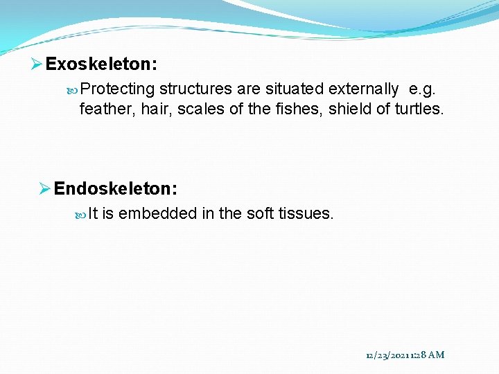 Ø Exoskeleton: Protecting structures are situated externally e. g. feather, hair, scales of the