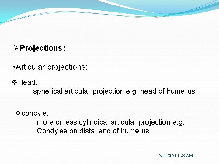 ØProjections: • Articular projections: v. Head: spherical articular projection e. g. head of humerus.