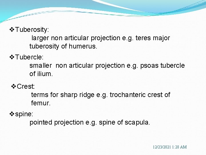 v. Tuberosity: larger non articular projection e. g. teres major tuberosity of humerus. v.