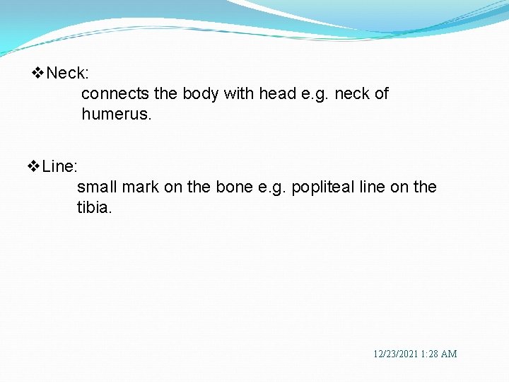 v. Neck: connects the body with head e. g. neck of humerus. v. Line: