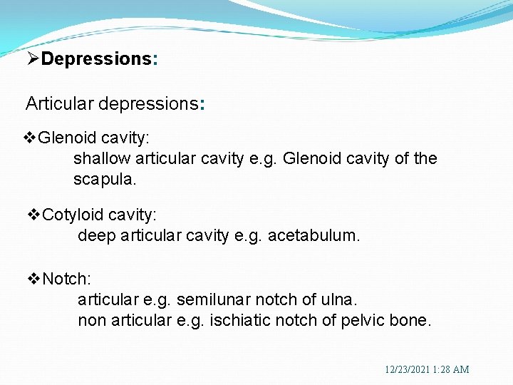 ØDepressions: Articular depressions: v. Glenoid cavity: shallow articular cavity e. g. Glenoid cavity of