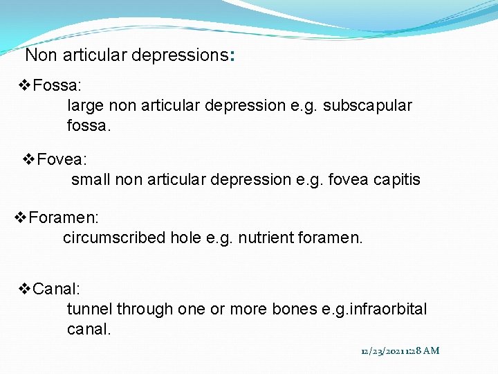 Non articular depressions: v. Fossa: large non articular depression e. g. subscapular fossa. v.