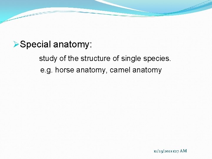 ØSpecial anatomy: study of the structure of single species. e. g. horse anatomy, camel