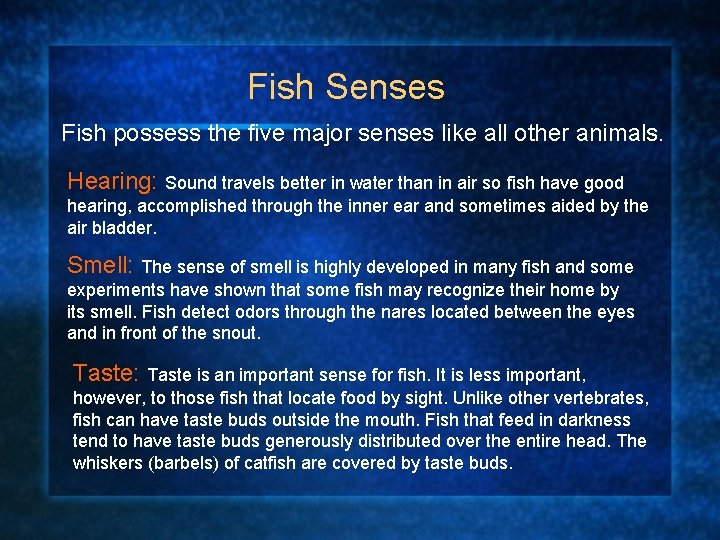 Fish Senses Fish possess the five major senses like all other animals. Hearing: Sound