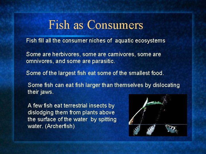 Fish as Consumers Fish fill all the consumer niches of aquatic ecosystems Some are