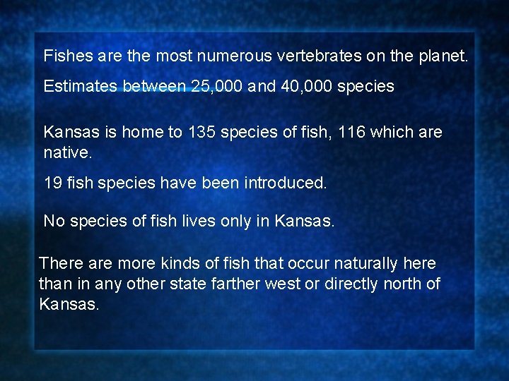 Fishes are the most numerous vertebrates on the planet. Estimates between 25, 000 and