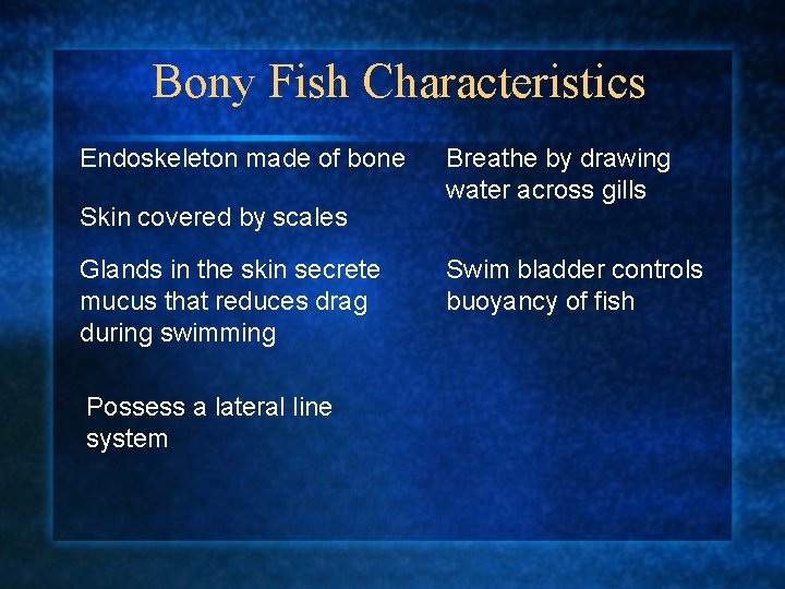 Bony Fish Characteristics Endoskeleton made of bone Skin covered by scales Glands in the