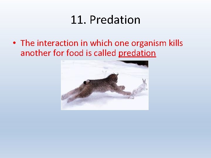 11. Predation • The interaction in which one organism kills another food is called