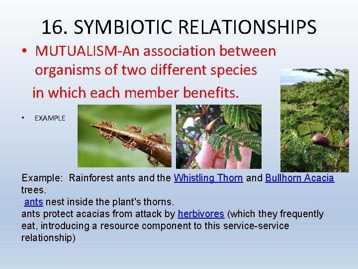 16. SYMBIOTIC RELATIONSHIPS • MUTUALISM-An association between organisms of two different species in which
