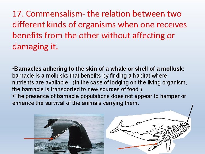 17. Commensalism- the relation between two different kinds of organisms when one receives benefits