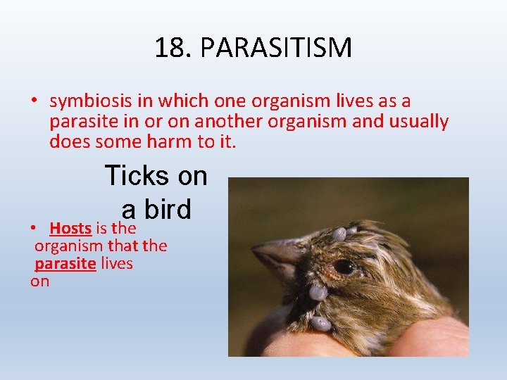 18. PARASITISM • symbiosis in which one organism lives as a parasite in or