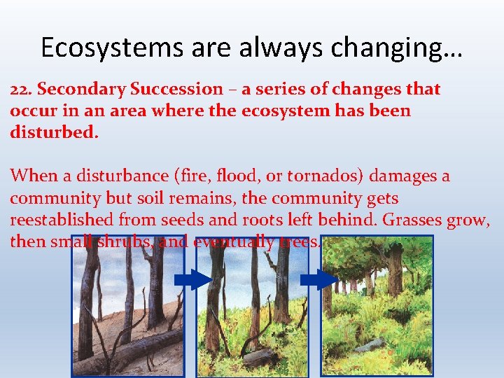 Ecosystems are always changing… 22. Secondary Succession – a series of changes that occur