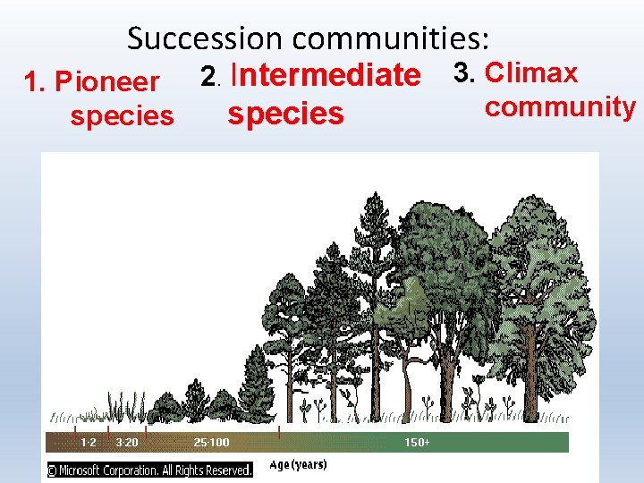 Succession communities: 1. Pioneer 2. Intermediate species 3. Climax community 