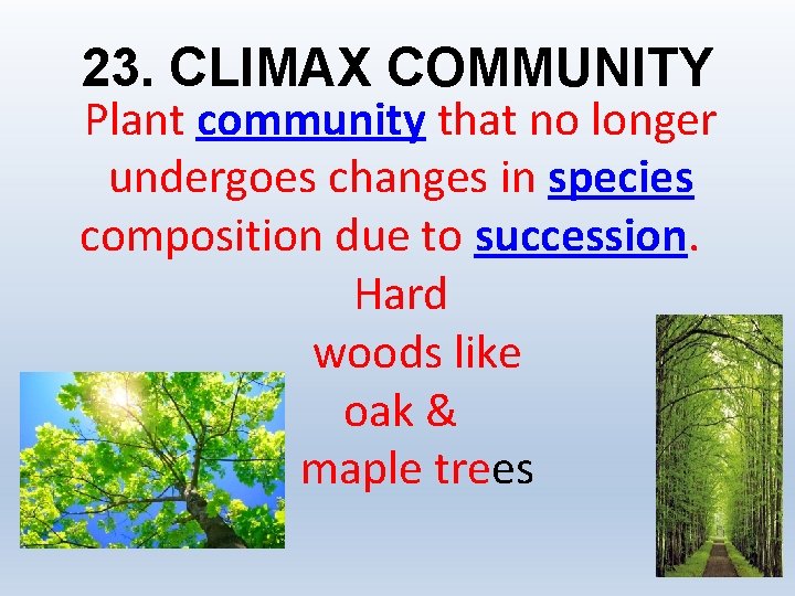 23. CLIMAX COMMUNITY Plant community that no longer undergoes changes in species composition due