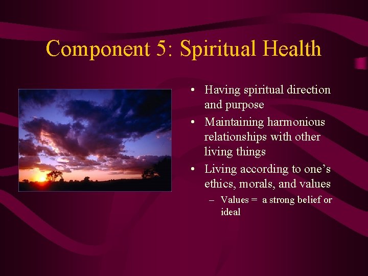 Component 5: Spiritual Health • Having spiritual direction and purpose • Maintaining harmonious relationships