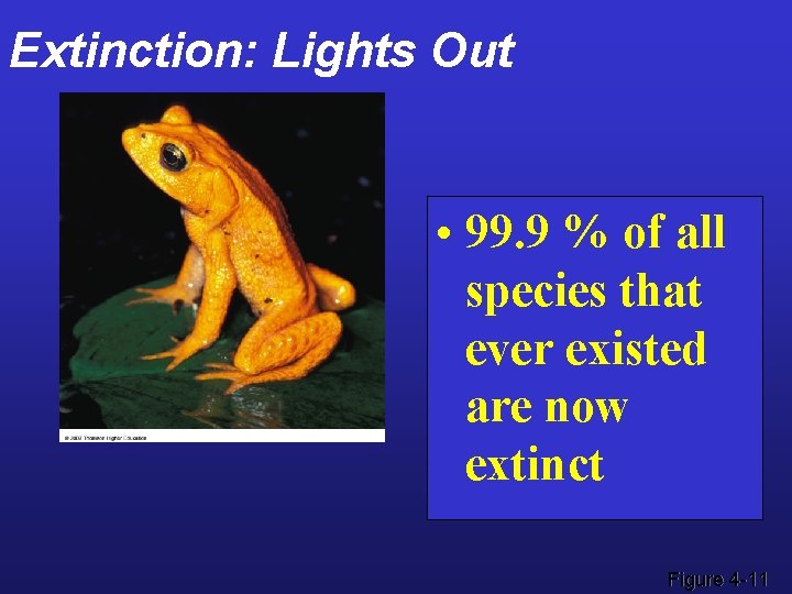 Extinction: Lights Out • 99. 9 % of all species that ever existed are