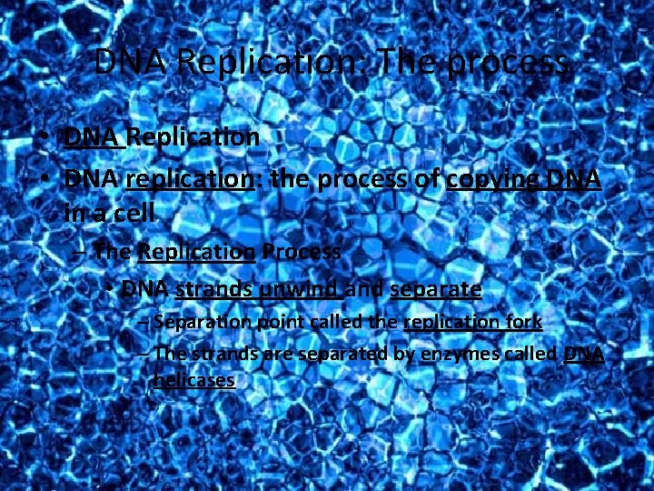 DNA Replication: The process • DNA Replication • DNA replication: the process of copying