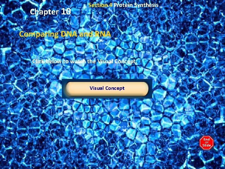 Chapter 10 Section 4 Protein Synthesis Comparing DNA and RNA Click below to watch