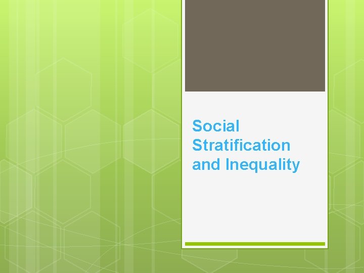 Social Stratification and Inequality 