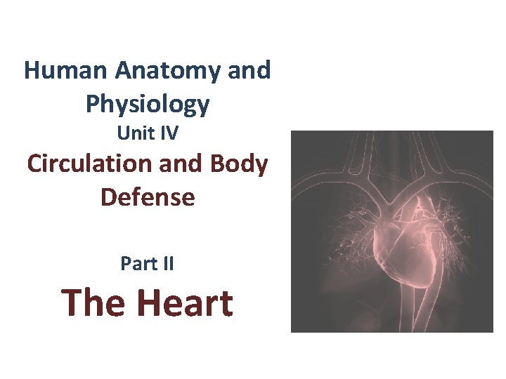 Human Anatomy and Physiology Unit IV Circulation and Body Defense Part II The Heart