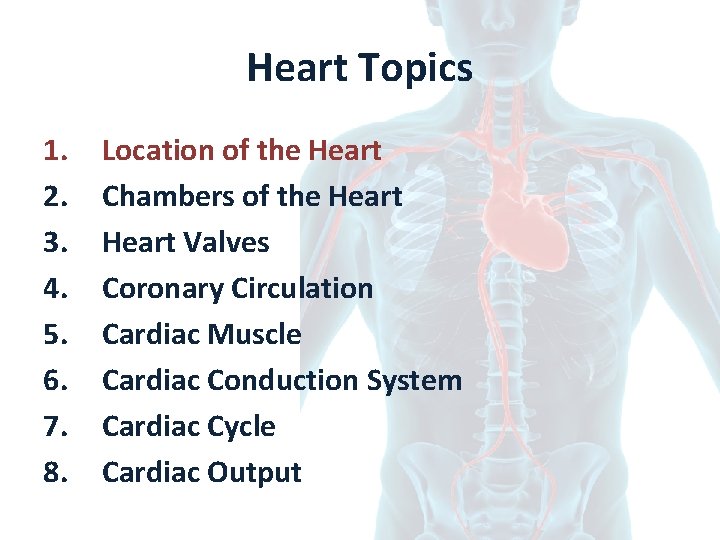 Heart Topics 1. 2. 3. 4. 5. 6. 7. 8. Location of the Heart