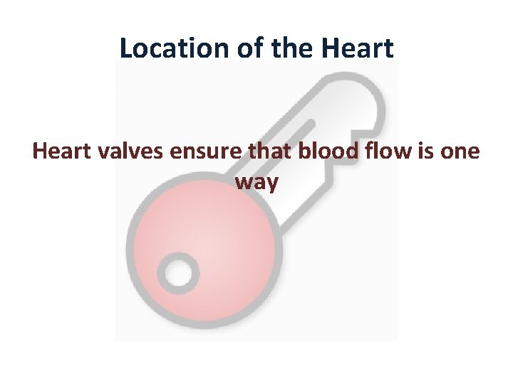 Location of the Heart valves ensure that blood flow is one way 