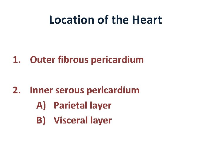 Location of the Heart 1. Outer fibrous pericardium 2. Inner serous pericardium A) Parietal