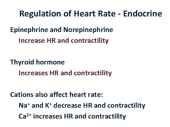 Regulation of Heart Rate - Endocrine Epinephrine and Norepinephrine Increase HR and contractility Thyroid