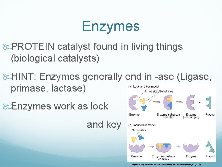 Enzymes PROTEIN catalyst found in living things (biological catalysts) HINT: Enzymes generally end in Enzymes PROTEIN catalyst found in living things (biological catalysts) HINT: Enzymes generally end in