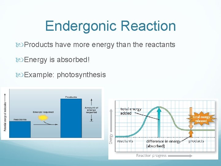 Endergonic Reaction Products have more energy than the reactants Energy is absorbed! Example: photosynthesis Endergonic Reaction Products have more energy than the reactants Energy is absorbed! Example: photosynthesis