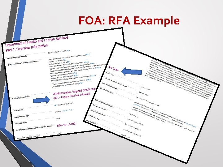 FOA: RFA Example 