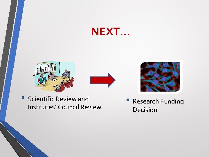 NEXT… • Scientific Review and Institutes’ Council Review • Research Funding Decision 