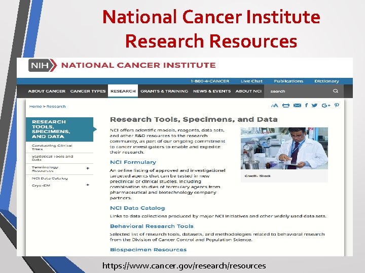 National Cancer Institute Research Resources https: //www. cancer. gov/research/resources 
