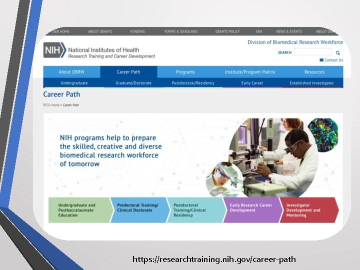 https: //researchtraining. nih. gov/career-path 