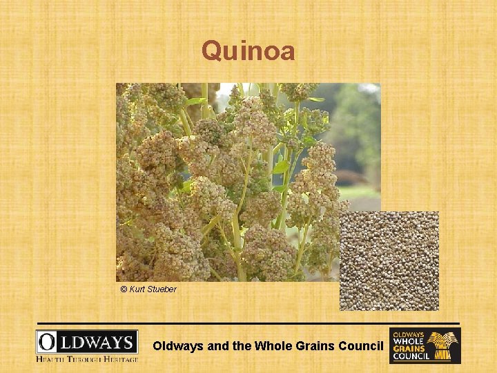 Quinoa © Kurt Stueber Oldways and the Whole Grains Council 