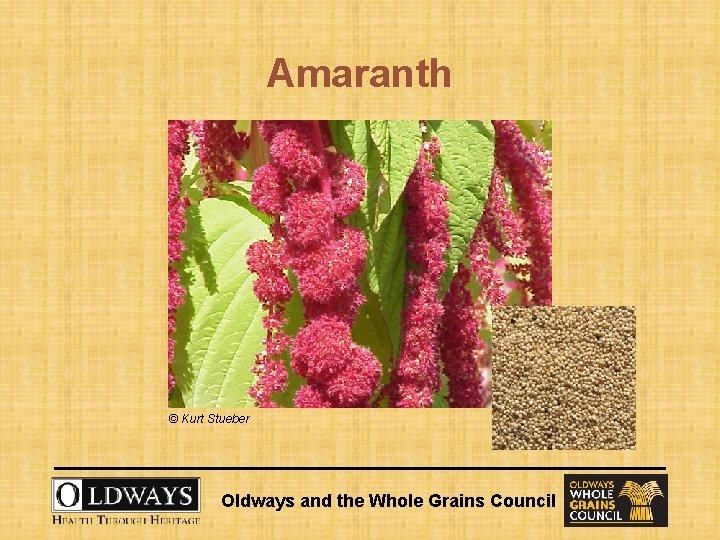 Amaranth © Kurt Stueber Oldways and the Whole Grains Council 