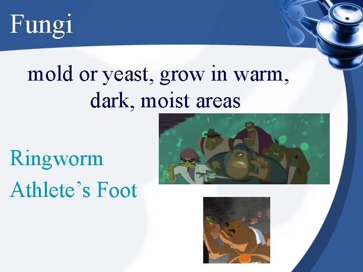 Fungi mold or yeast, grow in warm, dark, moist areas Ringworm Athlete’s Foot 