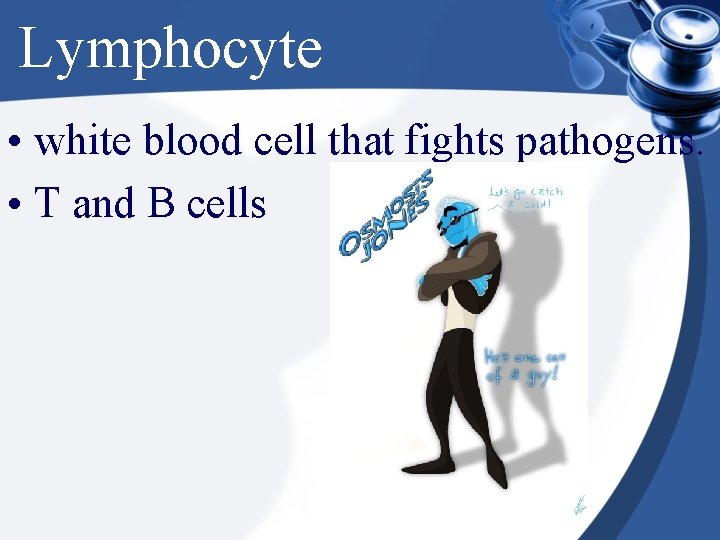 Lymphocyte • white blood cell that fights pathogens. • T and B cells 