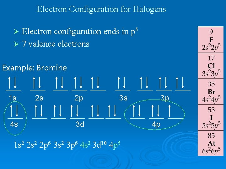 Electron Configuration for Halogens Electron configuration ends in p 5 Ø 7 valence electrons