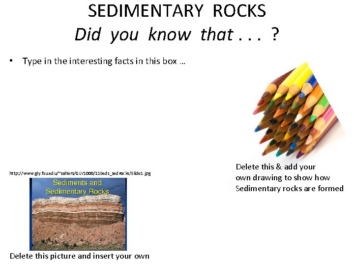 SEDIMENTARY ROCKS Did you know that. . . ? • Type in the interesting