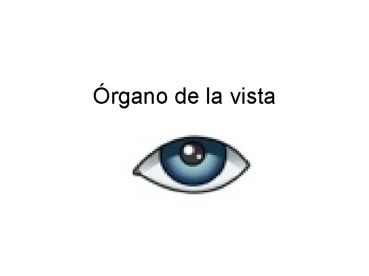 Órgano de la vista 