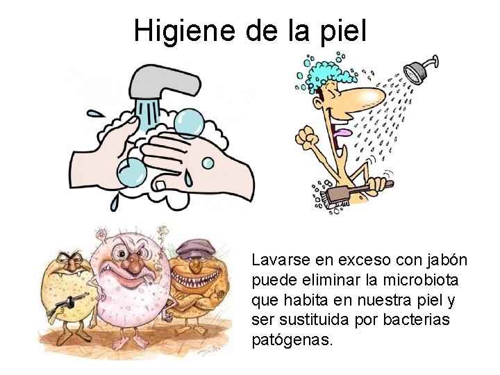 Higiene de la piel Lavarse en exceso con jabón puede eliminar la microbiota que