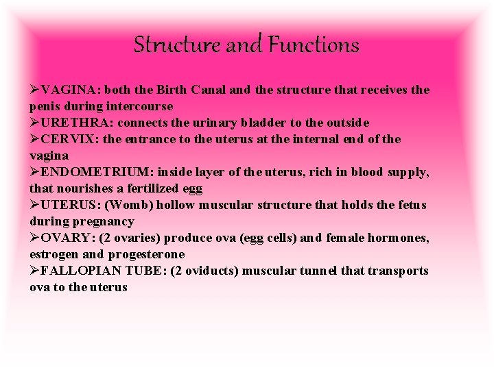 Structure and Functions ØVAGINA: both the Birth Canal and the structure that receives the